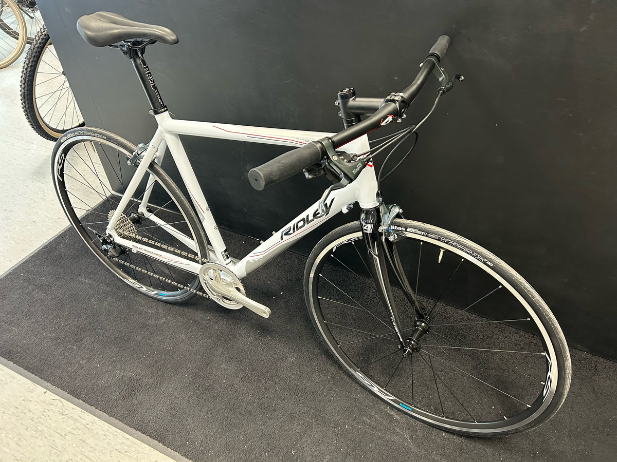 Ratas Ridley Tempo